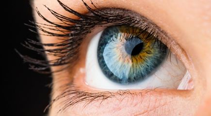 L’oeil, ou l’impossible evolutionisme L’oeil, ou l’impossible evolutionisme