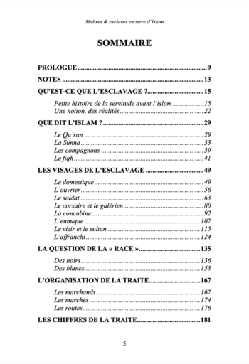 Maîtres & esclaves en terre d'Islam, un génocide voilé ? - Renaud K. - Sarrazins Éditions (précommande) – Image 2
