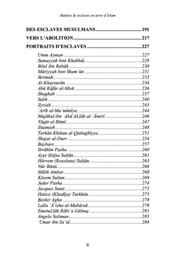 Maîtres & esclaves en terre d'Islam, un génocide voilé ? - Renaud K. - Sarrazins Éditions (précommande) – Image 3