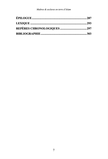 Maîtres & esclaves en terre d'Islam, un génocide voilé ? - Renaud K. - Sarrazins Éditions (précommande) – Image 4