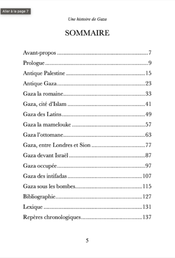 Une histoire de Gaza - Renaud K. - Sarrazins – Image 2